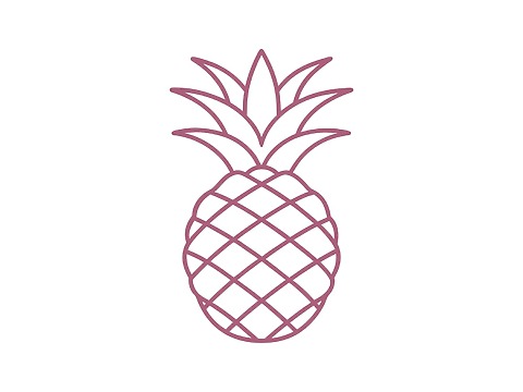 Nutri Aging Collagen 10 G Tube Stick