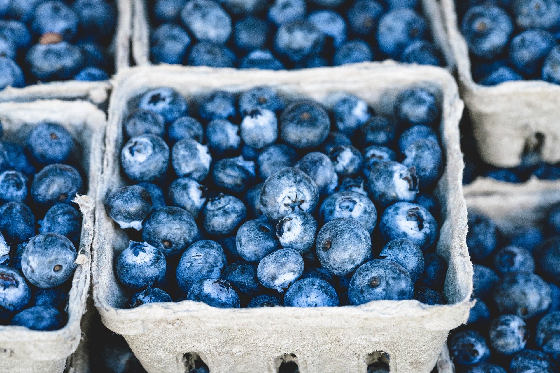 What are antioxidants and why do you need them?
