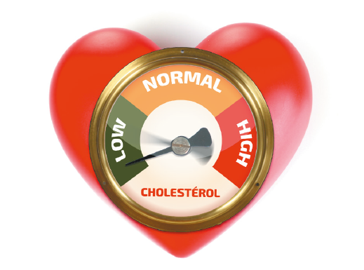 Cholesterol Fr