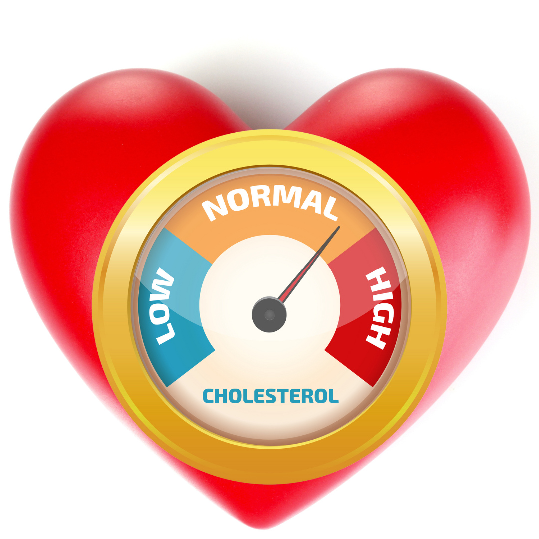What is cholesterol and how do you control it?